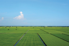 8d57d822-2146-4843-885d-34dfddc9f270